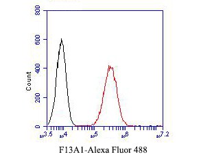 Flow cytometric analysis of F13A1 was done on A549 cells. The cells were fixed, permeabilized and stained with the primary antibody (<a href="/products/EM1901-39" style="font-weight: bold;text-decoration: underline;">EM1901-39</a>, 1/50) (red). After incubation of the primary antibody at room temperature for an hour, the cells were stained with a Alexa Fluor 488-conjugated Goat anti-Mouse IgG Secondary antibody at 1/1,000 dilution for 30 minutes.Unlabelled sample was used as a control (cells without incubation with primary antibody; black).