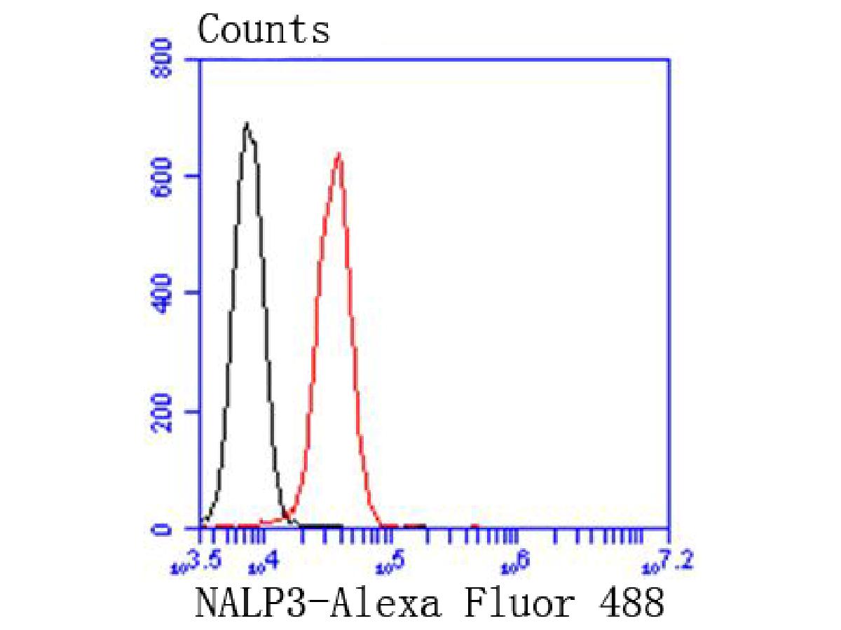Flow cytometric analysis of NLRP3 was done on Jurkat cells. The cells were fixed, permeabilized and stained with the primary antibody (<a href="/products/ET1610-93" style="font-weight: bold;text-decoration: underline;">ET1610-93</a>, 1/50) (red). After incubation of the primary antibody at room temperature for an hour, the cells were stained with a Alexa Fluor 488-conjugated Goat anti-Rabbit IgG Secondary antibody at 1/1,000 dilution for 30 minutes.Unlabelled sample was used as a control (cells without incubation with primary antibody; black).