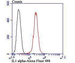 IL-1 alpha Rabbit polyclonal Antibody