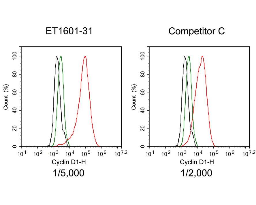 Immunocytochemistry analysis of Neuro-2a cells labeling Cyclin D1 with Rabbit anti-Cyclin D1 antibody (<a href="/products/ET1601-31" style="font-weight: bold;text-decoration: underline;">ET1601-31</a>) at 1/2,000 dilution and competitor's antibody at 1/1,600 dilution.<br /><br />Cells were fixed in 4% paraformaldehyde for 20 minutes at room temperature, permeabilized with 0.1% Triton X-100 in PBS for 5 minutes at room temperature, then blocked with 1% BSA in 10% negative goat serum for 1 hour at room temperature. Cells were then incubated with Rabbit anti-Cyclin D1 antibody (<a href="/products/ET1601-31" style="font-weight: bold;text-decoration: underline;">ET1601-31</a>) at 1/2,000 dilution and competitor's antibody at 1/1,600 dilution in 1% BSA in PBST overnight at 4 ℃. Goat Anti-Rabbit IgG H&L (iFluor™ 488, <a href="/products/HA1121" style="font-weight: bold;text-decoration: underline;">HA1121</a>) was used as the secondary antibody at 1/1,000 dilution. PBS instead of the primary antibody was used as the secondary antibody only control. Nuclear DNA was labelled in blue with DAPI.<br /><br />Beta tubulin (<a href="/products/M1305-2" style="font-weight: bold;text-decoration: underline;">M1305-2</a>, red) was stained at 1/100 dilution overnight at +4℃. Goat Anti-Mouse IgG H&L (iFluor™ 594, <a href="/products/HA1126" style="font-weight: bold;text-decoration: underline;">HA1126</a>) was used as the secondary antibody at 1/1,000 dilution.
