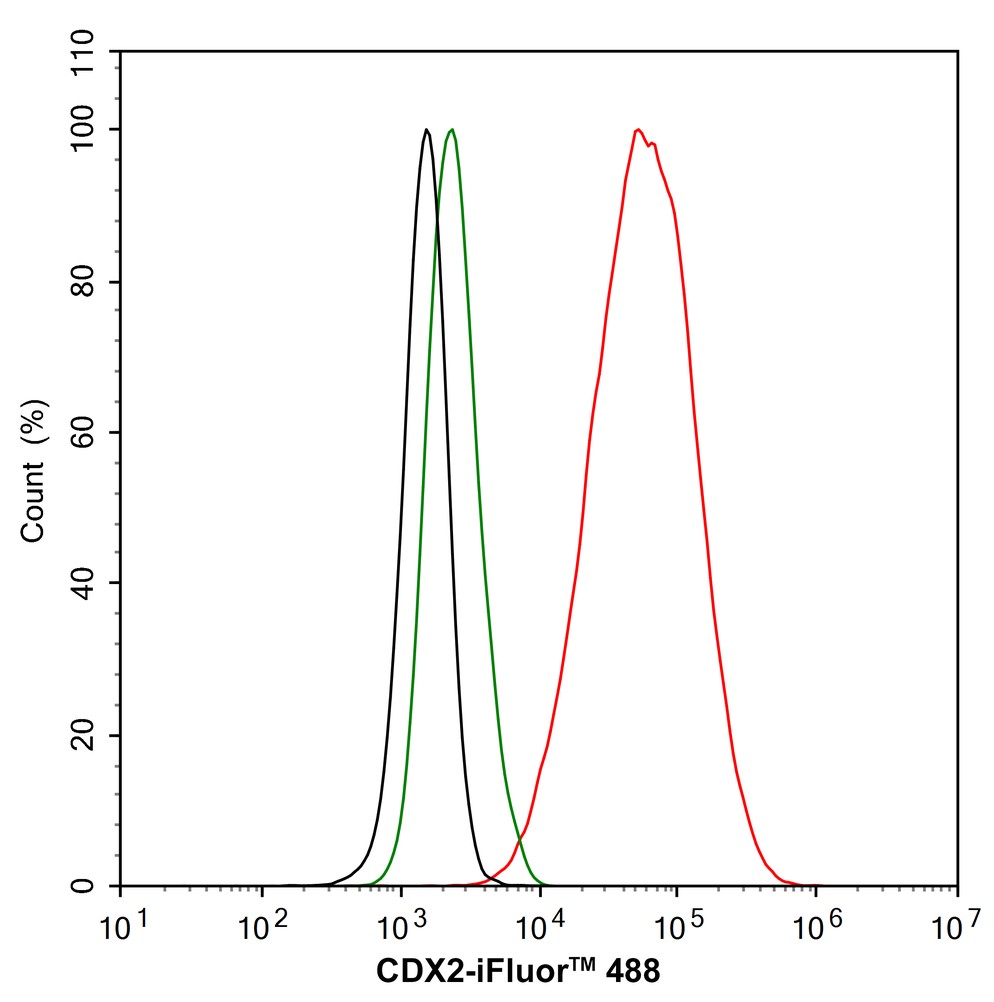 Flow cytometric analysis of CDX2 was done on Hela cells. The cells were fixed, permeabilized and stained with the primary antibody (<a href="/products/ET1605-4" style="font-weight: bold;text-decoration: underline;">ET1605-4</a>, 1/50) (red). After incubation of the primary antibody at room temperature for an hour, the cells were stained with a Alexa Fluor 488-conjugated Goat anti-Rabbit IgG Secondary antibody at 1/1000 dilution for 30 minutes.Unlabelled sample was used as a control (cells without incubation with primary antibody; black).