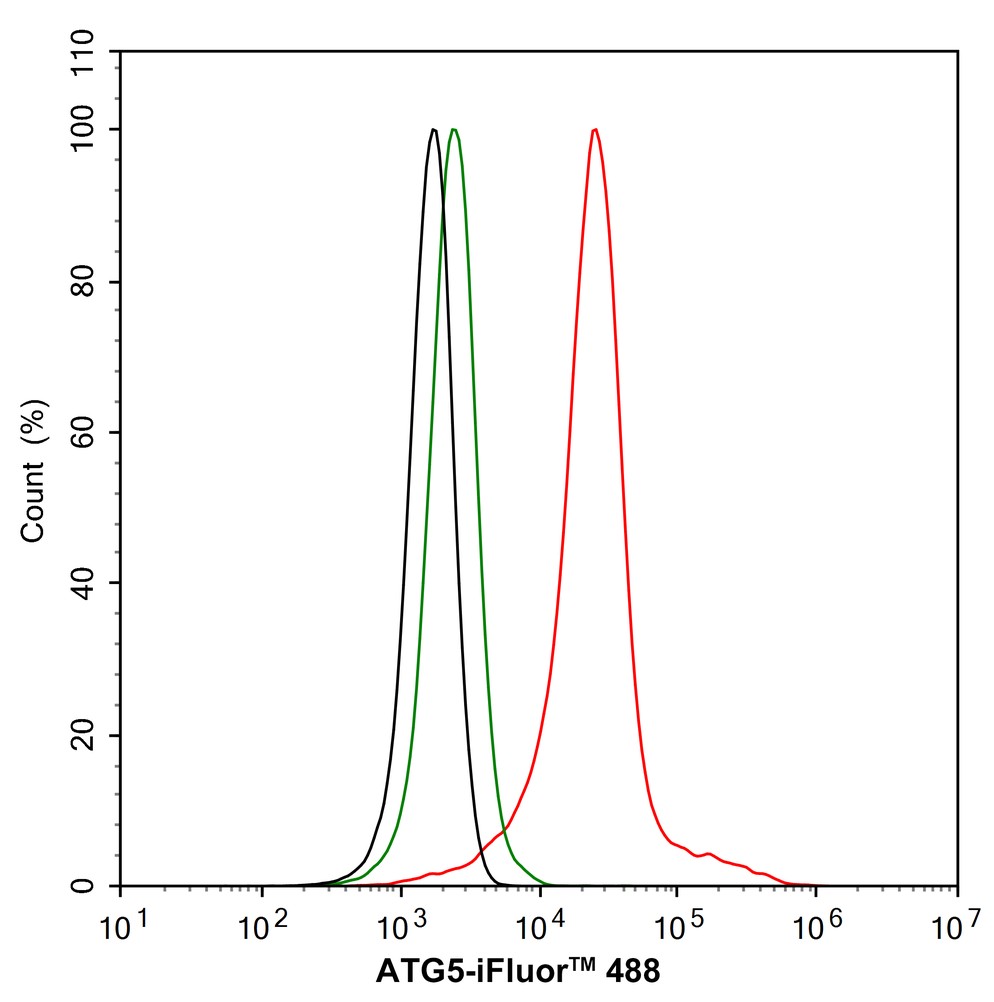 Flow cytometric analysis of NIH/3T3 cells labeling ATG5.<br /><br />Cells were fixed and permeabilized. Then stained with the primary antibody (<a href=