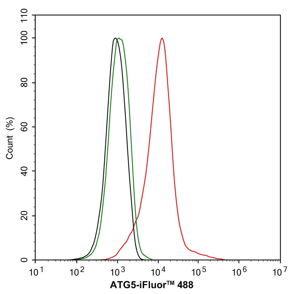 Flow cytometric analysis of PC-12 cells labeling ATG5.<br /><br />Cells were fixed and permeabilized. Then stained with the primary antibody (<a href=