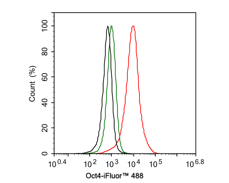 Chromatin immunoprecipitations were performed with cross-linked chromatin from NCCIT cells with Oct4 (<a href=