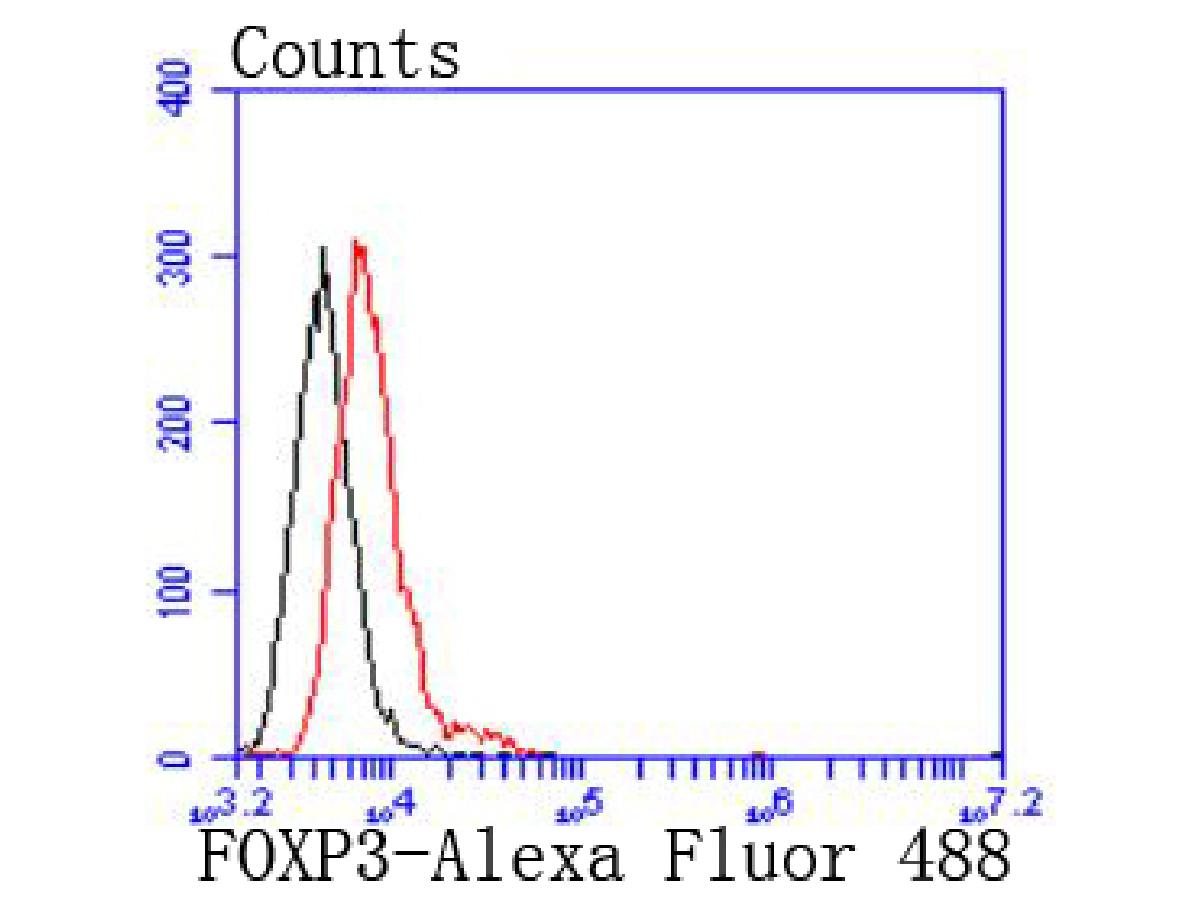 FOXP3 Recombinant Rabbit monoclonal Antibody