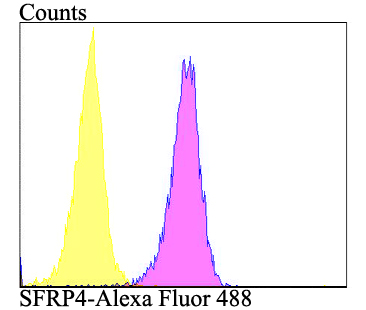SFRP4 Recombinant Rabbit monoclonal Antibody