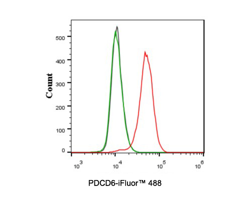 Flow cytometric analysis of MCF-7 cells labeling HER3.<br /><br />Cells were washed twice with cold PBS and resuspend. Then stained with the primary antibody (<a href=