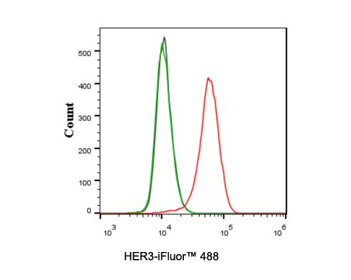 Flow cytometric analysis of MCF-7 cells labeling HER3.<br /><br />Cells were washed twice with cold PBS and resuspend. Then stained with the primary antibody (<a href="/products/HA721135" style="font-weight: bold;text-decoration: underline;">HA721135</a>, 0.1ug/ml) (red) compared with Rabbit IgG Isotype Control (green). After incubation of the primary antibody at +4℃ for an hour, the cells were stained with a iFluor™ 488 conjugate-Goat anti-Rabbit IgG Secondary antibody (<a href="/products/HA1121" style="font-weight: bold;text-decoration: underline;">HA1121</a>) at 1/1,000 dilution for 30 minutes at +4℃. Unlabelled sample was used as a control (cells without incubation with primary antibody; black).