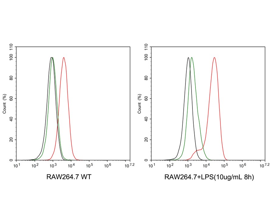 <span style="font-weight: bold;">☑ Cell treatment (CT)</span><br /><br />Flow cytometric analysis of RAW264.7 cells treated with 10μg/mL LPS for 8 hours labeling Mouse PD-L1.<br /><br />Cells were washed twice with cold PBS and resuspend. Then stained with the primary antibody (<a href="/products/HA722208" style="font-weight: bold;text-decoration: underline;">HA722208</a>, 1μg/mL) (red) compared with Rabbit IgG Isotype Control (green). After incubation of the primary antibody at +4℃ for an hour, the cells were stained with a iFluor&trade; 488 conjugate-Goat anti-Rabbit IgG Secondary antibody (<a href="/products/HA1121" style="font-weight: bold;text-decoration: underline;">HA1121</a>) at 1/1,000 dilution for 30 minutes at +4℃. Unlabelled sample was used as a control (cells without incubation with primary antibody; black).
