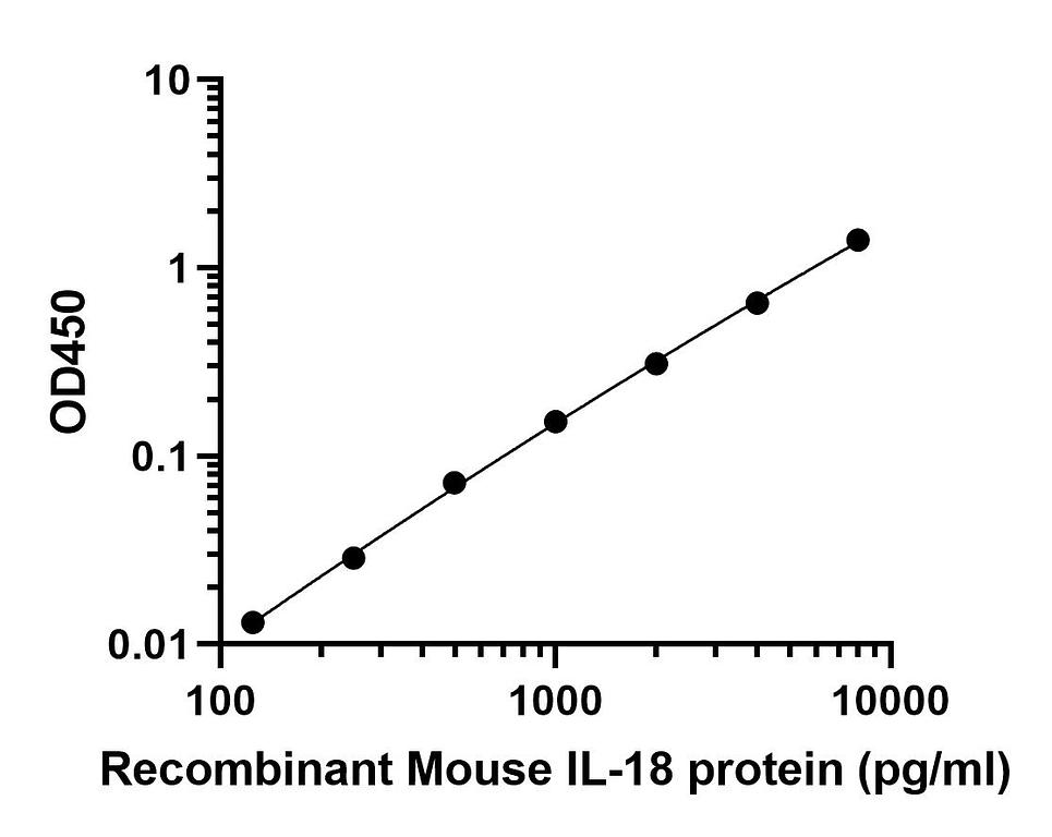 Mouse IL-18 Recombinant Rabbit monoclonal Antibody
