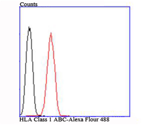 HLA Class 1 ABC Rabbit polyclonal Antibody